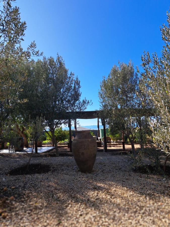 Olive Grove Cottage Koringberg Экстерьер фото