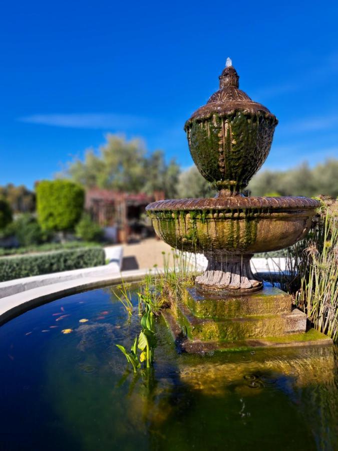 Olive Grove Cottage Koringberg Экстерьер фото